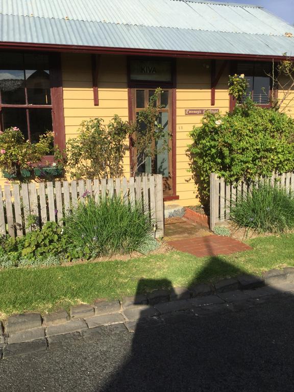 Twomey'S Cottage Queenscliff Eksteriør bilde